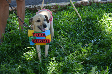 Sérgio Souza Júnior