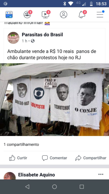 divulgação
