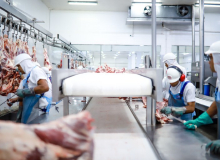 Entidades sindicais da alimentação travam luta em defesa da NR 36 dos frigoríficos